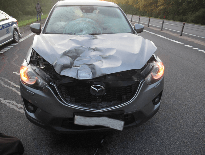 О произошедших происшествиях на дорогах за 19.08.2019